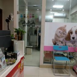 洪星1998寵物店詳細(xì)信息 電話、地址、價(jià)格、營(yíng)業(yè)時(shí)間及圖片