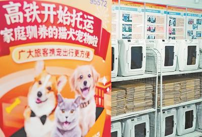 鐵路部門試點高鐵寵物托運服務(wù) 開啟寵物出行新篇章