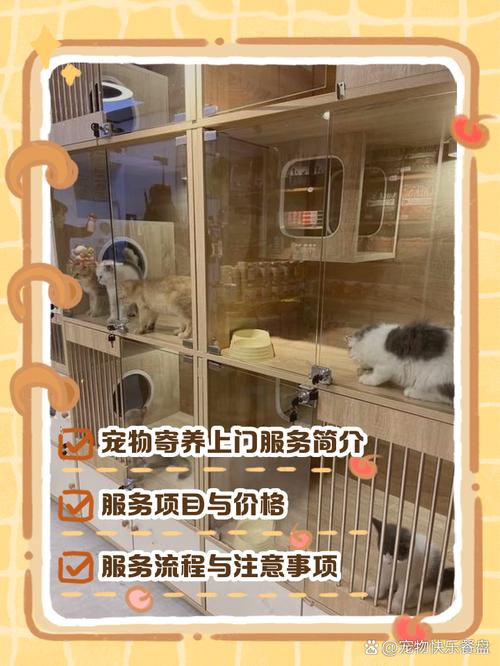 寵物寄養(yǎng)新趨勢 上門服務(wù)如何讓愛寵倍感安心